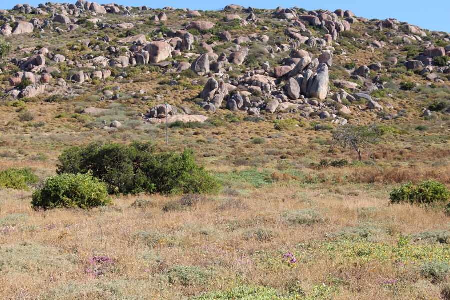 0 Bedroom Property for Sale in Steenbergs Cove Western Cape